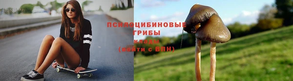 ECSTASY Алексин