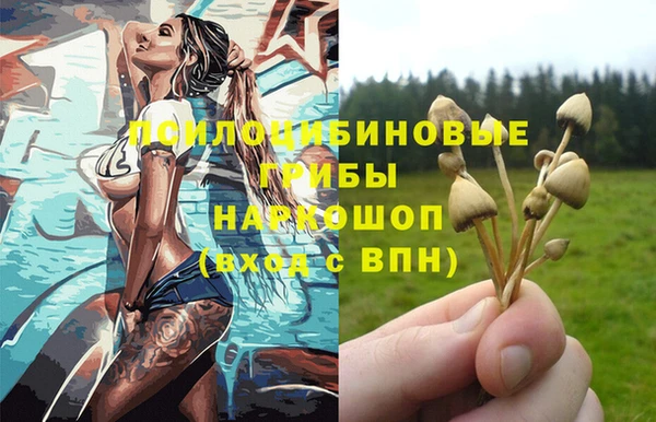 ECSTASY Алексин