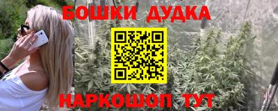 a pvp Ставрополь
