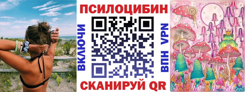 купить закладку  Троицк  Псилоцибиновые грибы мухоморы 