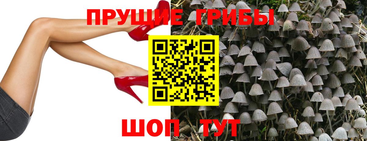 Троицк  Псилоцибиновые грибы Cubensis  Вход с VPN  Галлюциногенные грибы Psilocybe 