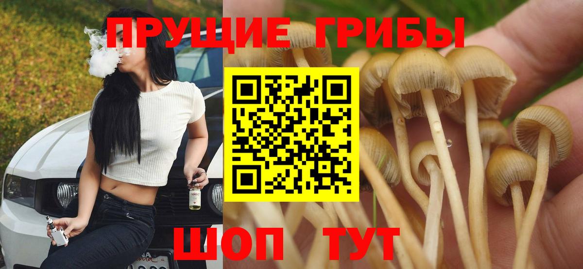 Псилоцибиновые грибы мицелий Троицк